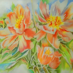 Pastelflowers