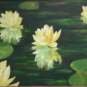 Lotus Pond