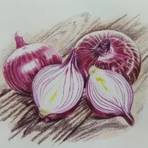 Onions On The Table